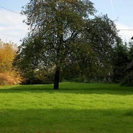 La Maison Du Chene